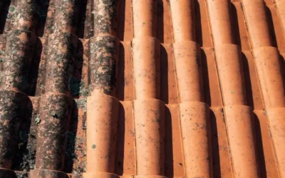 Where Rust & Corrosion Are Most Likely To Develop On Your Roof In Geelong