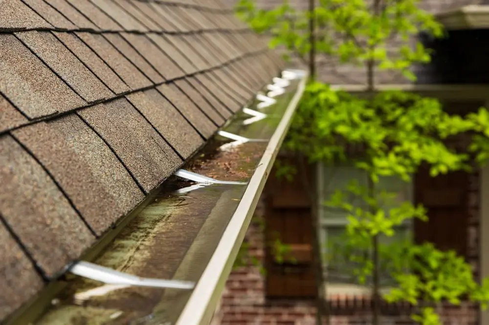 How Blocked Gutters Lead To Costly Roof Repairs In Geelong