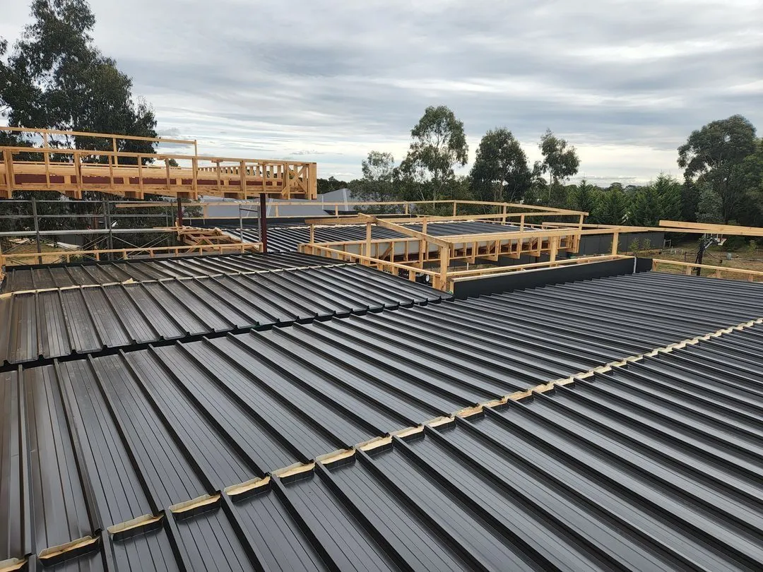 Roof Painting