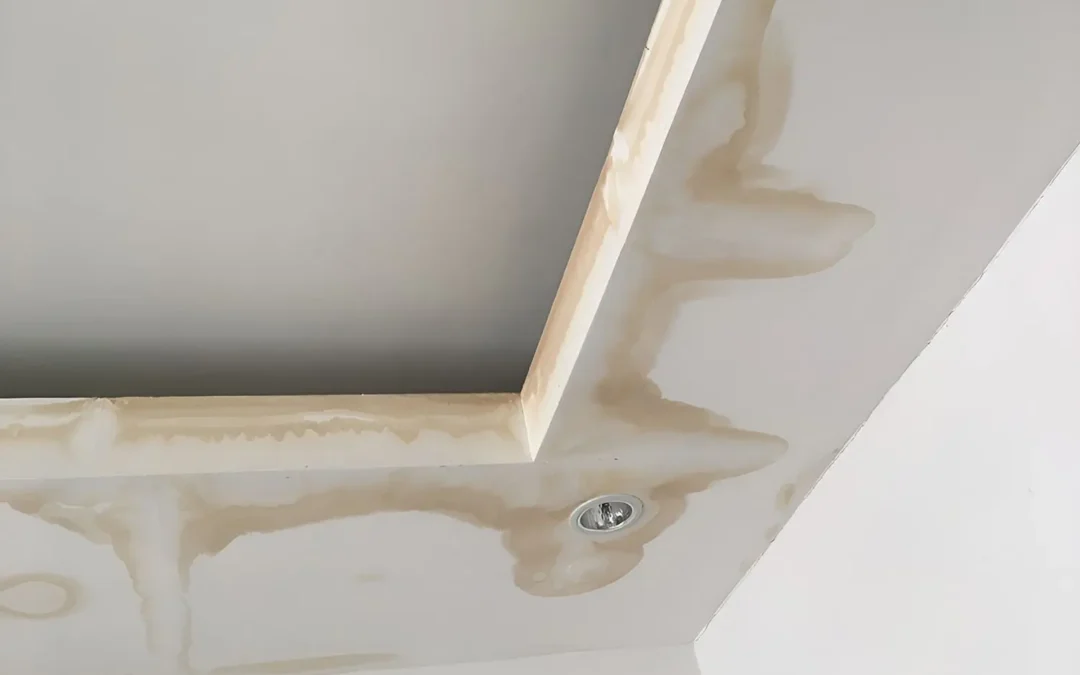 What To Do If You Spot Mould Or Water Stains On Your Ceiling