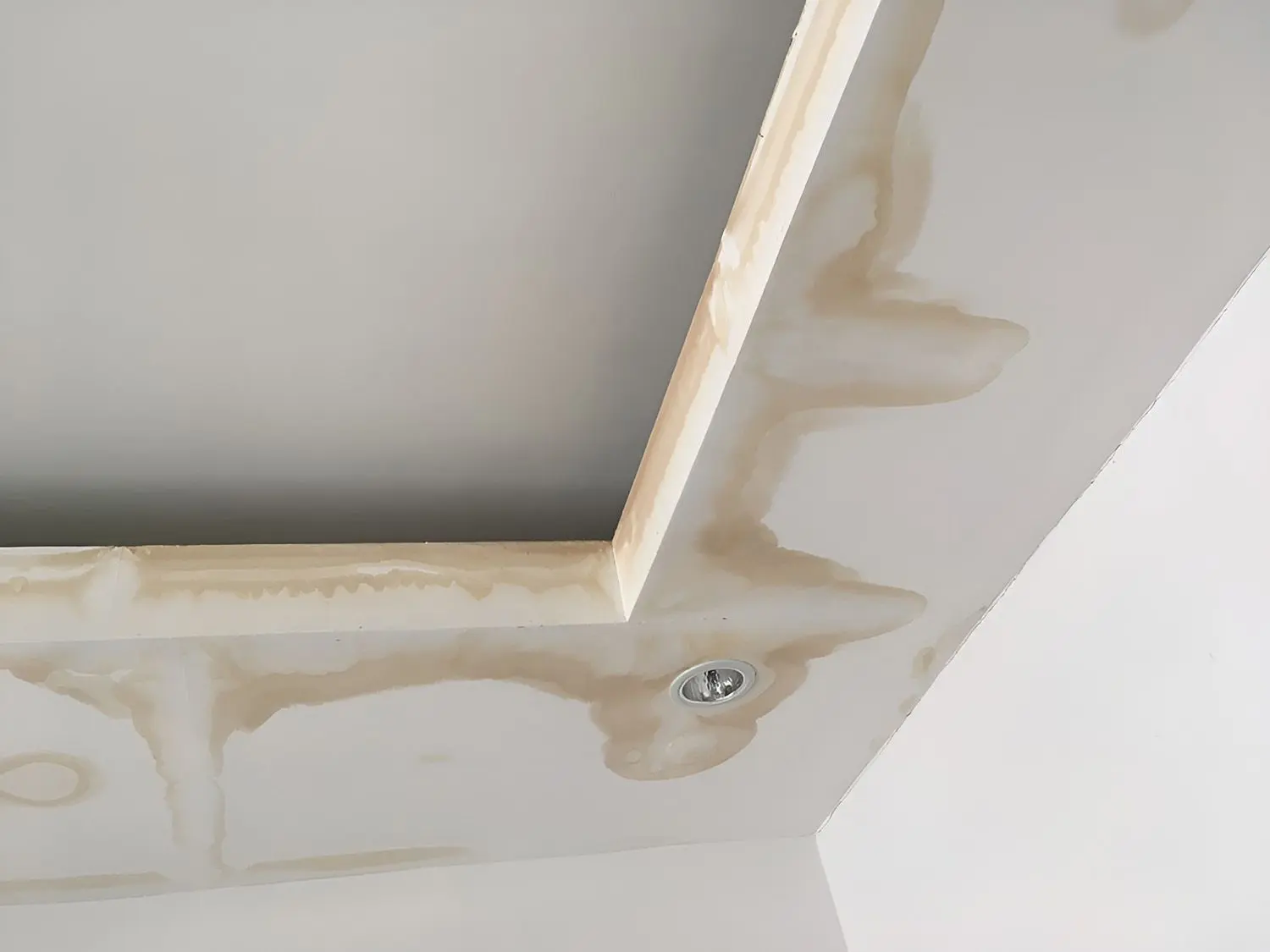 water-stain-on-a-white-ceiling-brown-discoloration-1920w Water Stain On A White Ceiling, Brown Discoloration